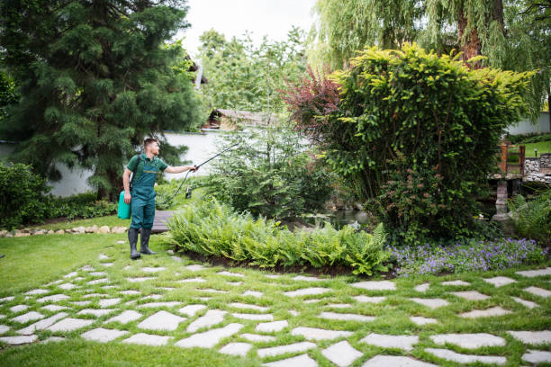 Best Affordable Pest Control Services  in Bellows Falls, VT