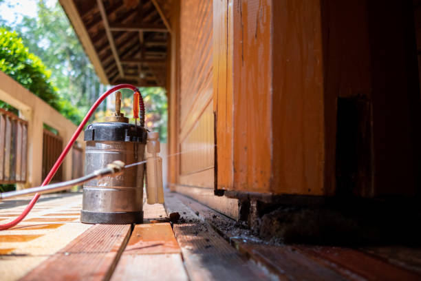 Best Pest Inspection Near Me  in Bellows Falls, VT