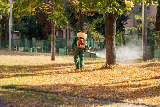 Best Wildlife Control Services  in Bellows Falls, VT